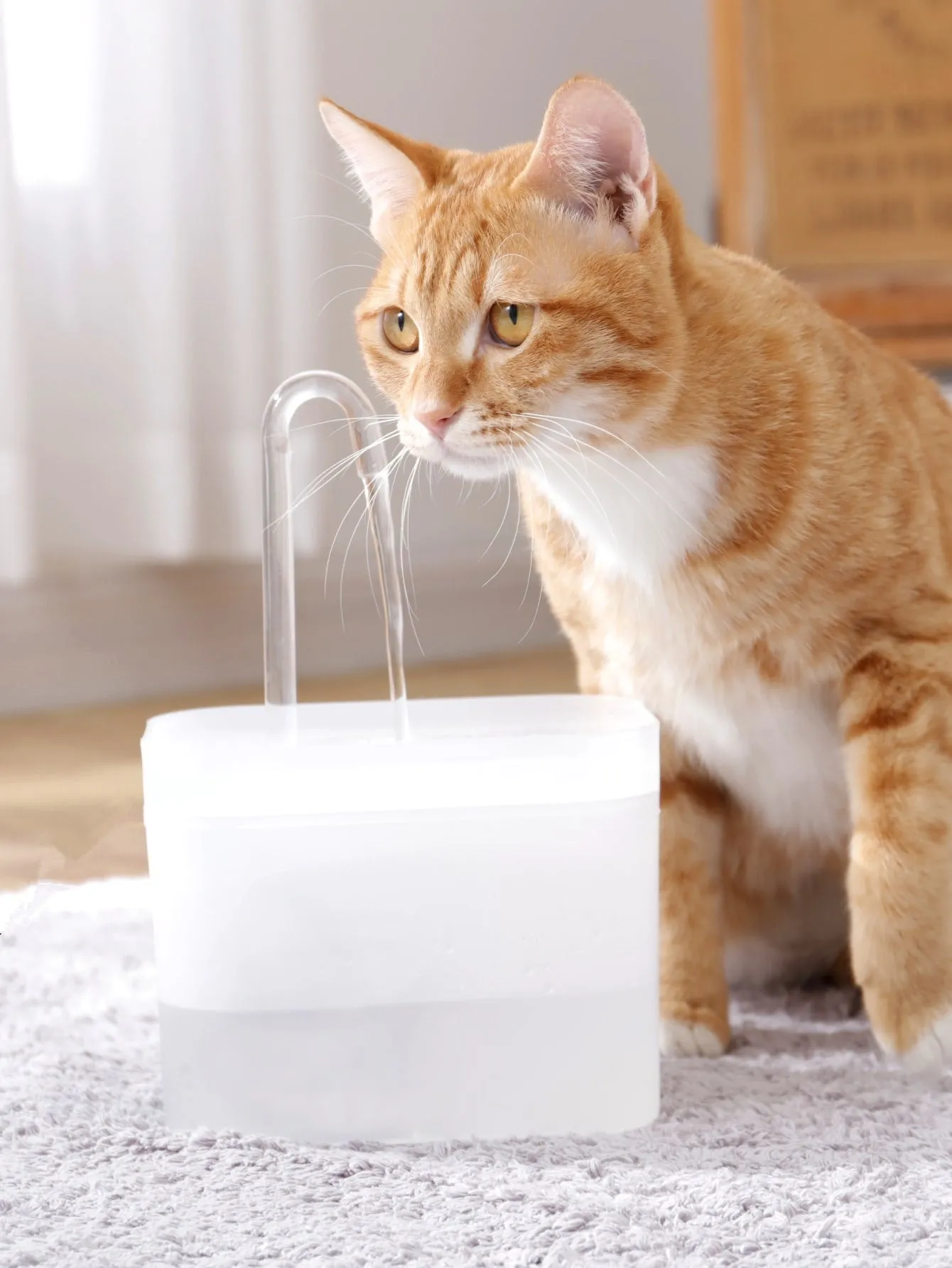 1pc Pet Automatic Waterer