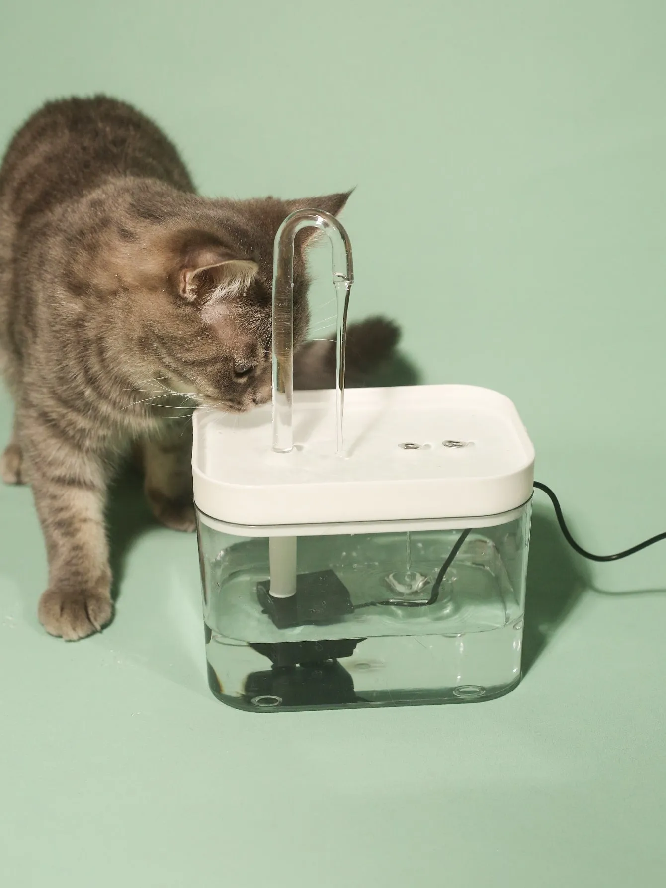 1pc Pet Automatic Waterer