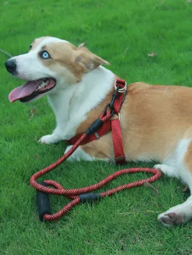 1pc Pet Leash 1pc Harness