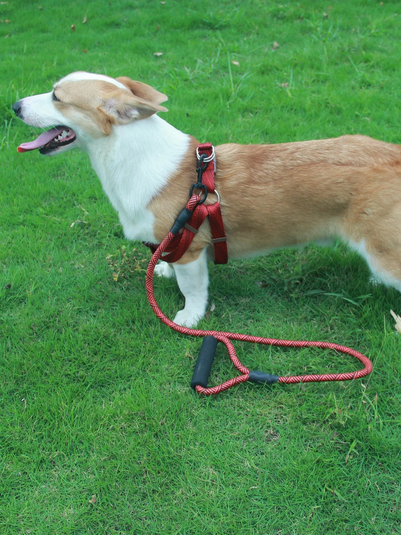1pc Pet Leash 1pc Harness