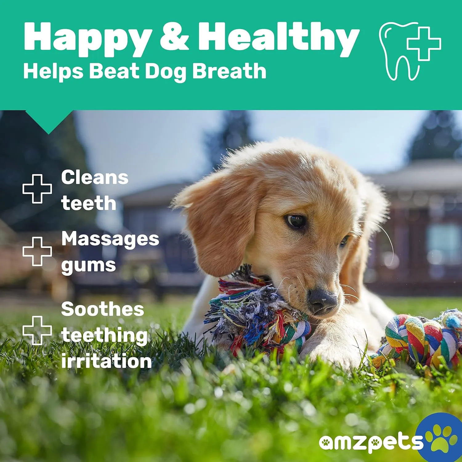 AMZpets Knotted Heavy Rope Dog Toy for Aggressive Chewers, Assorted Colors