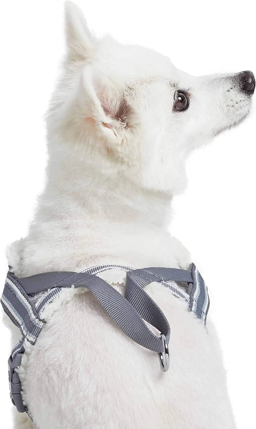 Blueberry Pet Soft & Comfy Multi-Colored Stripe Fleece Padded Chest Dog Harness, Chest Girth 20.5" - 26", Grey, Medium, Adjustable No Pull Training Harness for Dogs