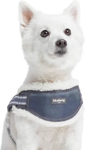Blueberry Pet Soft & Comfy Multi-Colored Stripe Fleece Padded Chest Dog Harness, Chest Girth 20.5" - 26", Grey, Medium, Adjustable No Pull Training Harness for Dogs