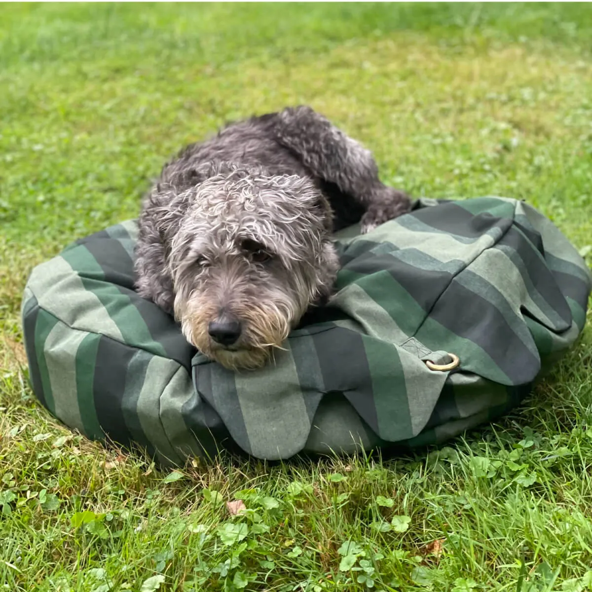 Brass Ring Cover Pet Beds