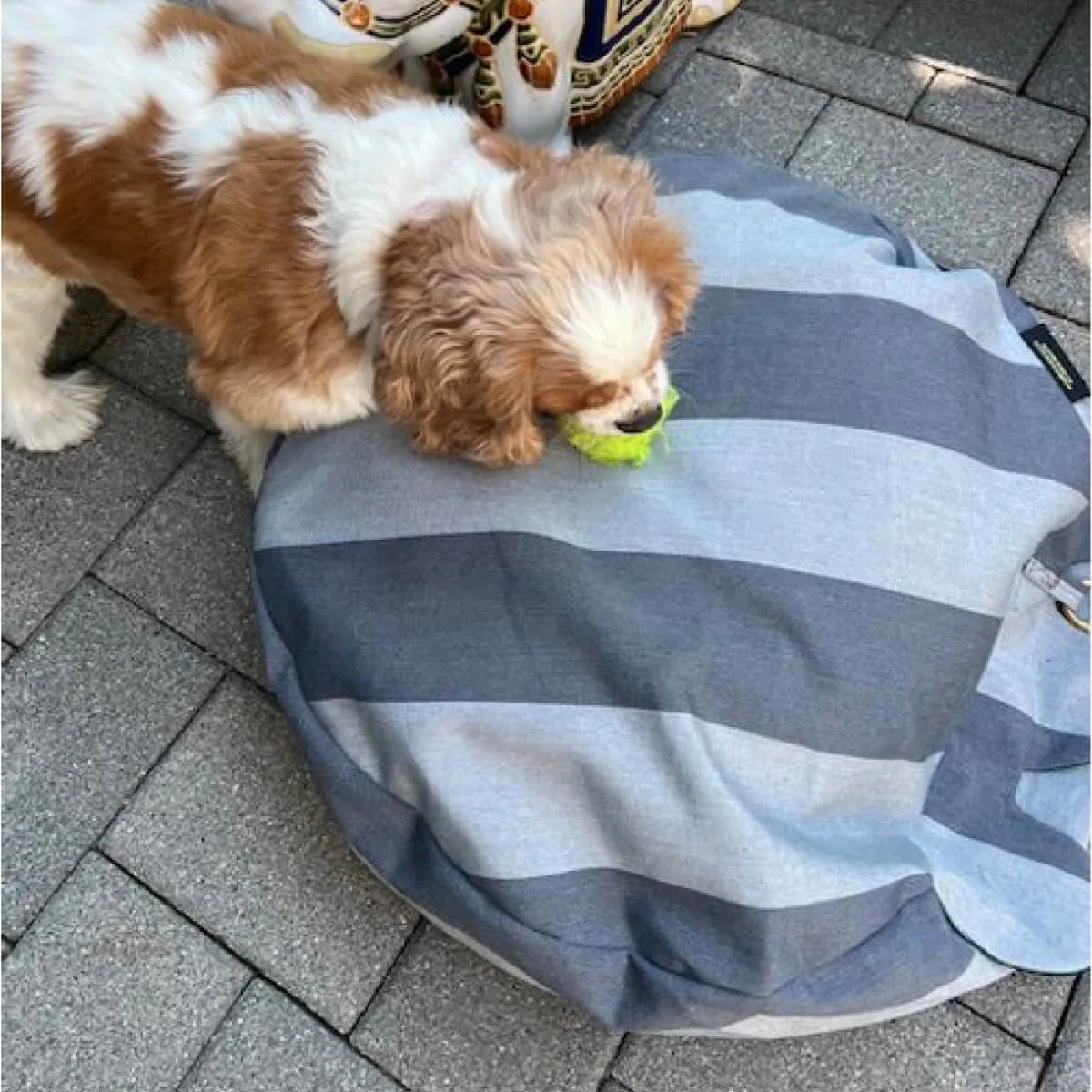 Brass Ring Cover Pet Beds