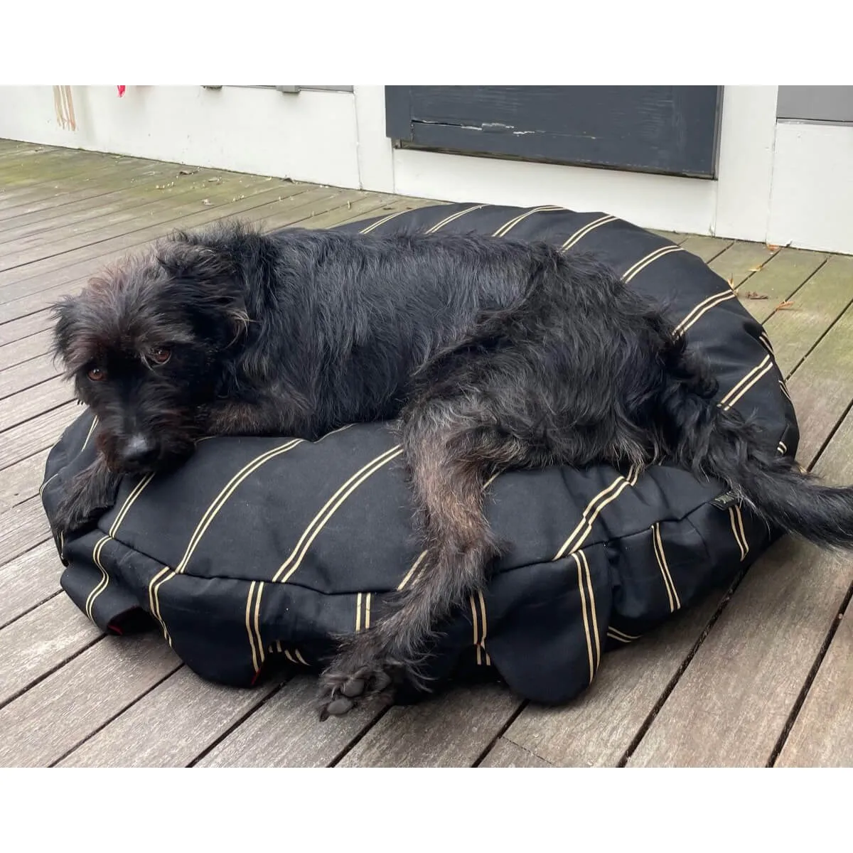 Brass Ring Cover Pet Beds