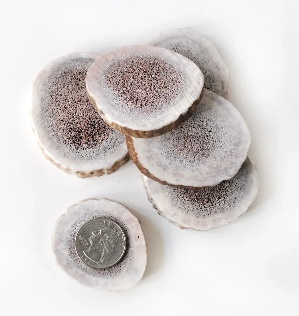 Buck Bone Organics Elk Antler Cookies