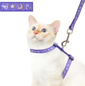 Cat Harness and Leash Set for Outdoor Walking Escape Proof Adjustable Soft Safety Strap with Golden Star and Moon Design Glow in The Dark Purple