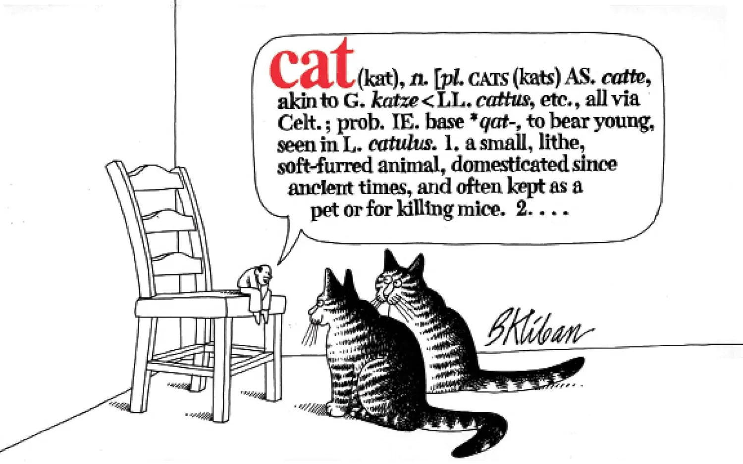 Cat Paperback  January 1, 2012