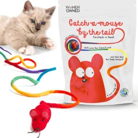 Catch a Mouse Wool Cat Toy with a 6-Ft Tail for Indoor Cats & Kittens. Cute Toy Mouse, Rat Plush Toy, Fake Mice. No Catnip. Pride (Rainbow)