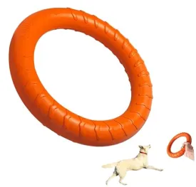 Chew Ring Toy