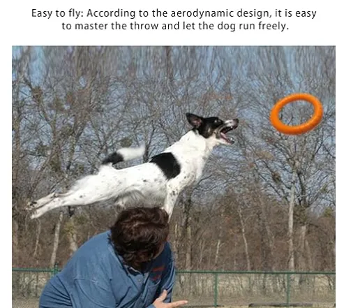 Chew Ring Toy
