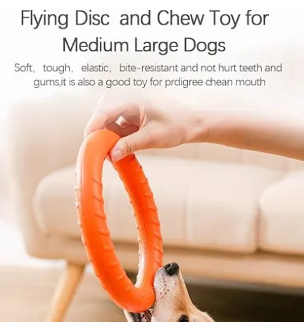 Chew Ring Toy