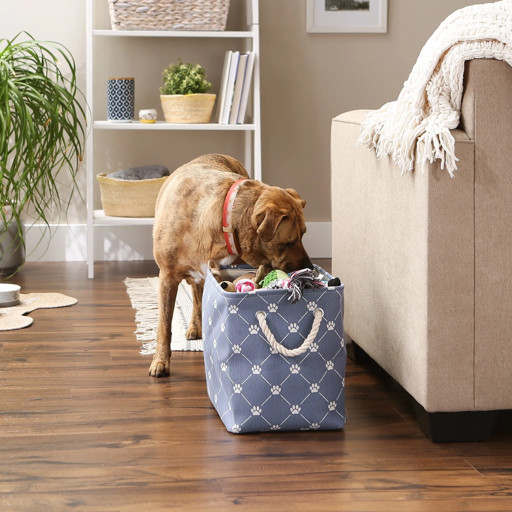 Collapsible Pet Storage Bin, Trellis Paw Print, Stonewash Blue, Medium - 16x10x12"