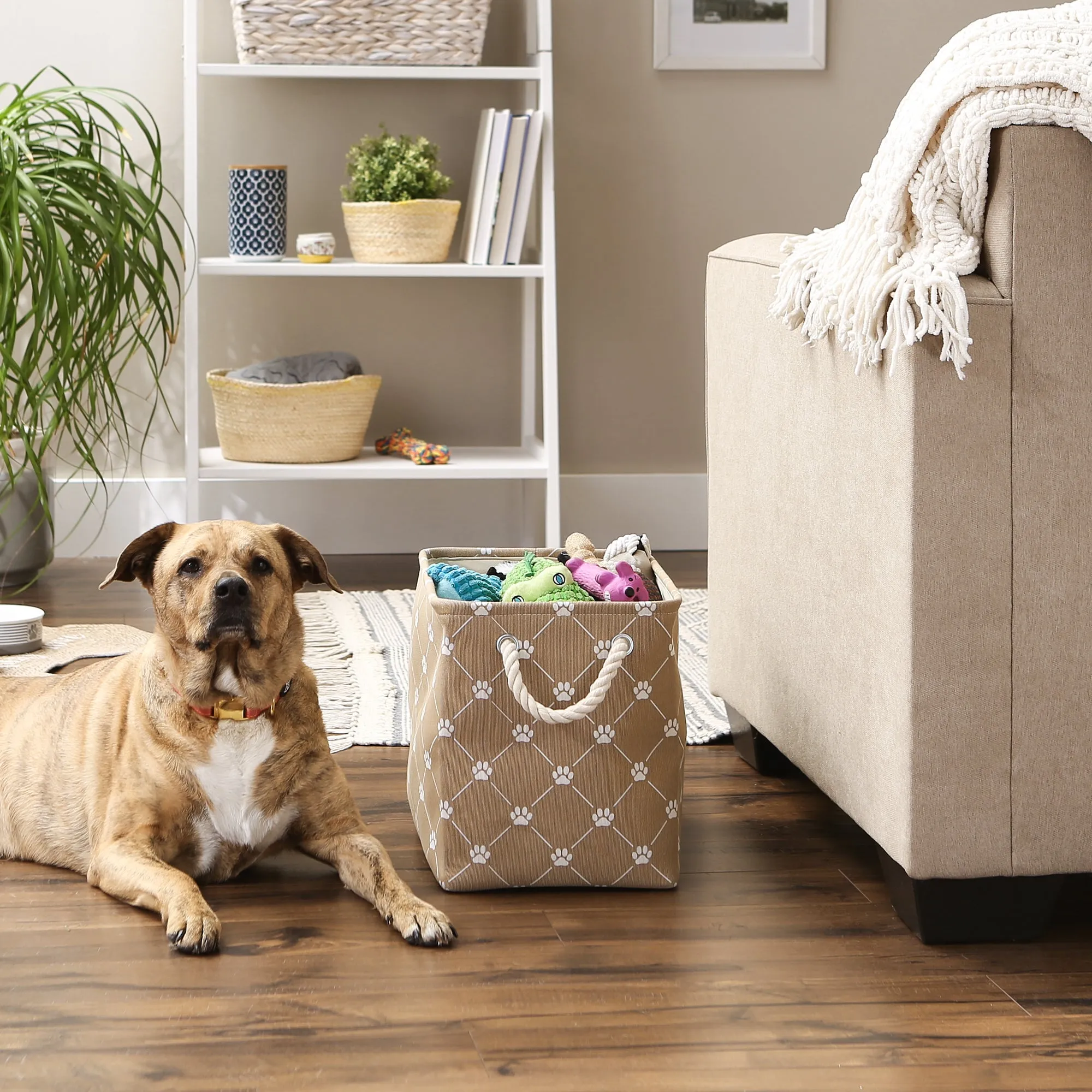Collapsible Pet Storage Bin, Trellis Paw Print, Taupe, Medium - 16x10x12"