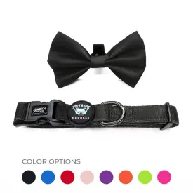 Collar   Free Removable Bowtie (Solid Colors)