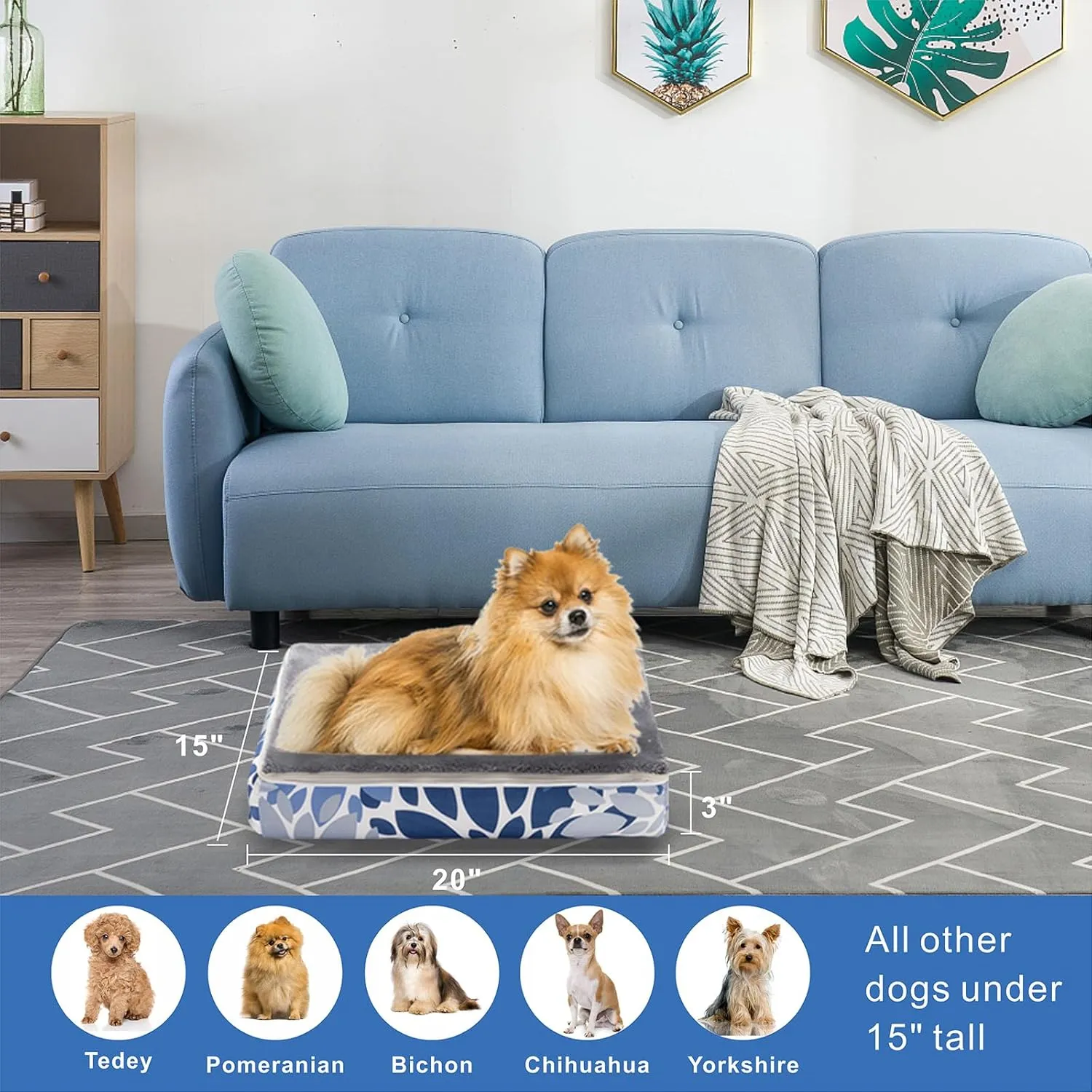Dog Bed, Puppy Bed Dog Sleeping Mat Dogs Orthopedic Foam with Bolster Washable Pet Bed with Removable Cover