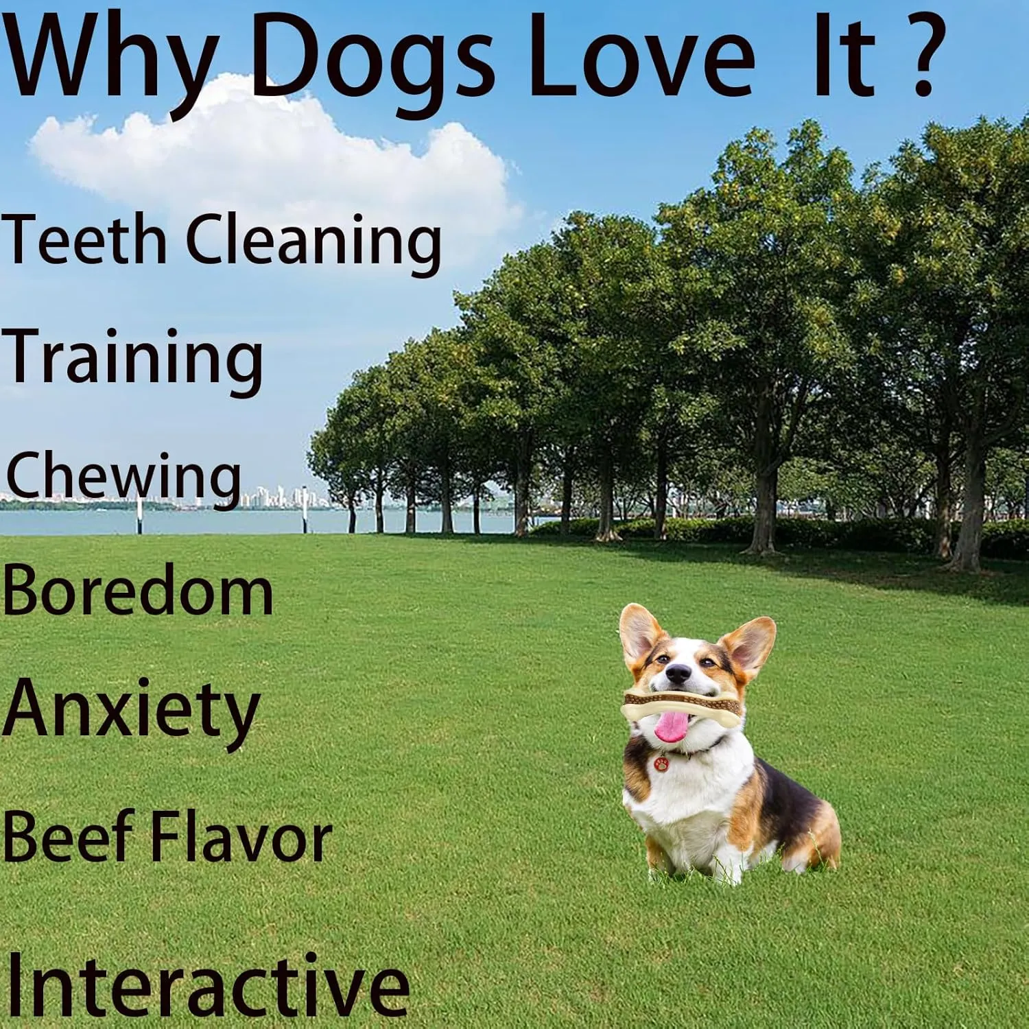 Dog Bones Chew Toys for Aggressive Chewers, 2 Pack Real Beef Flavor, Indestructible Dog Teething Toys for Large, Medium, Small Breeds, Tough Nylon Toy