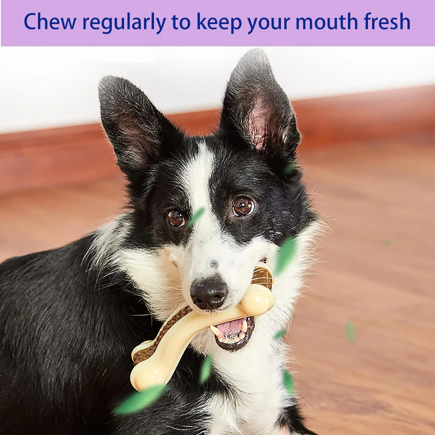 Dog Bones Chew Toys for Aggressive Chewers, 2 Pack Real Beef Flavor, Indestructible Dog Teething Toys for Large, Medium, Small Breeds, Tough Nylon Toy