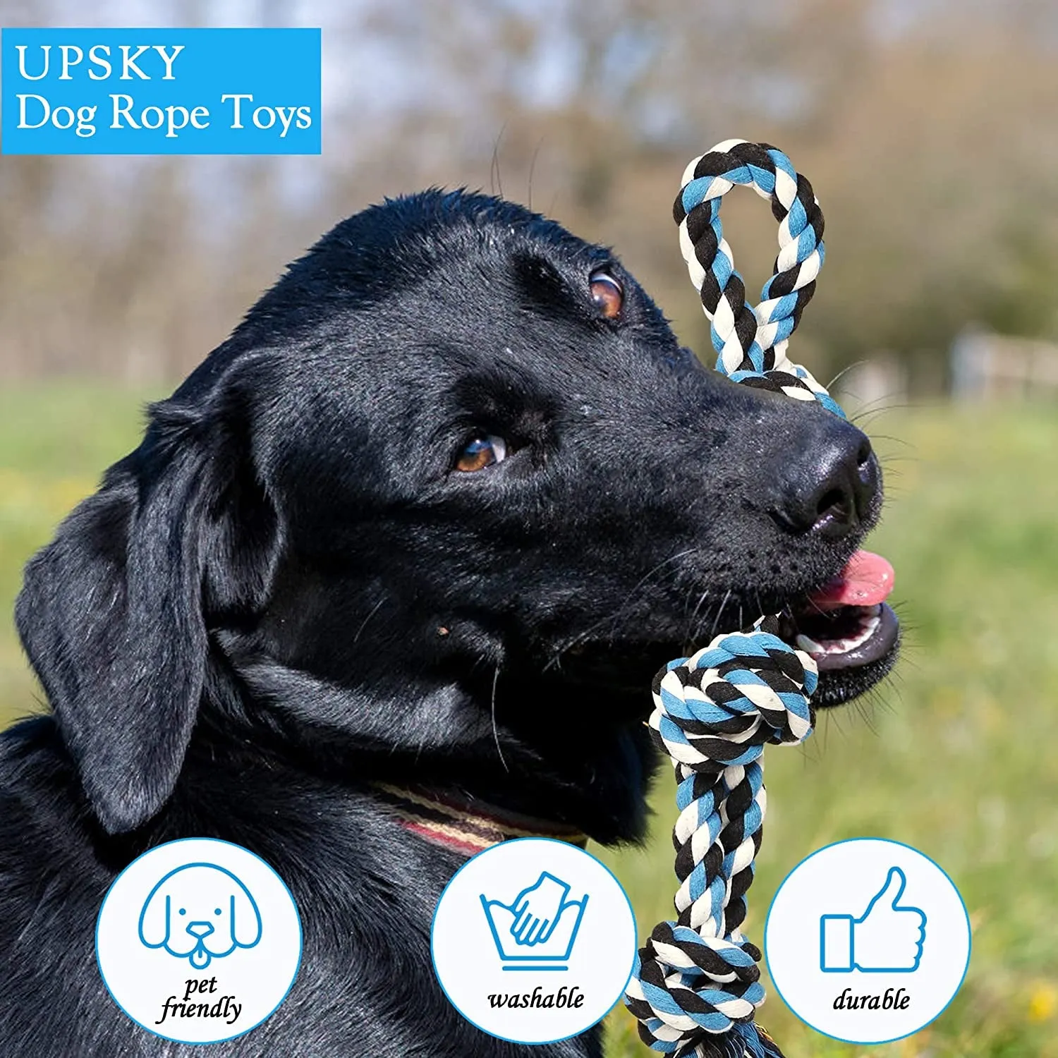 Dog Rope Toys (2 Pack)