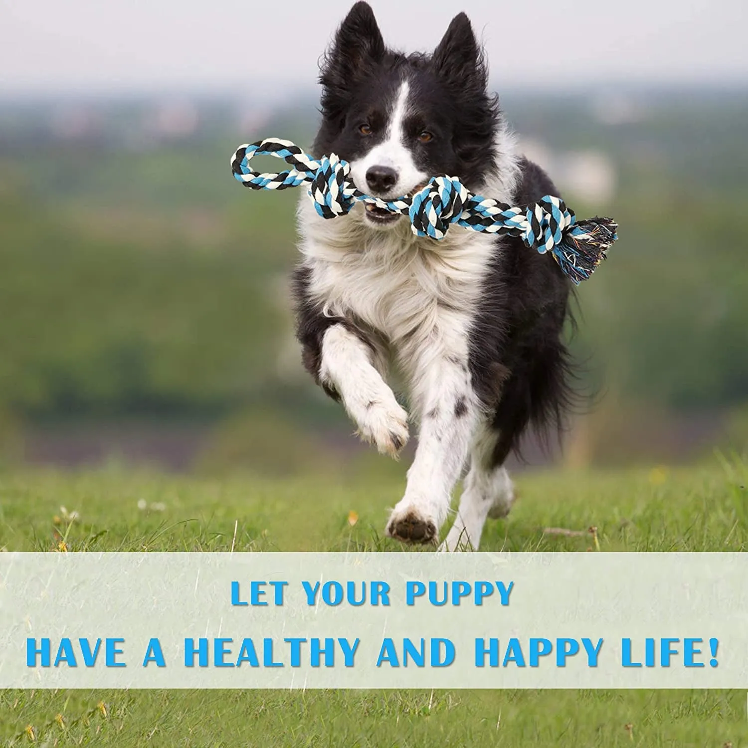 Dog Rope Toys (2 Pack)