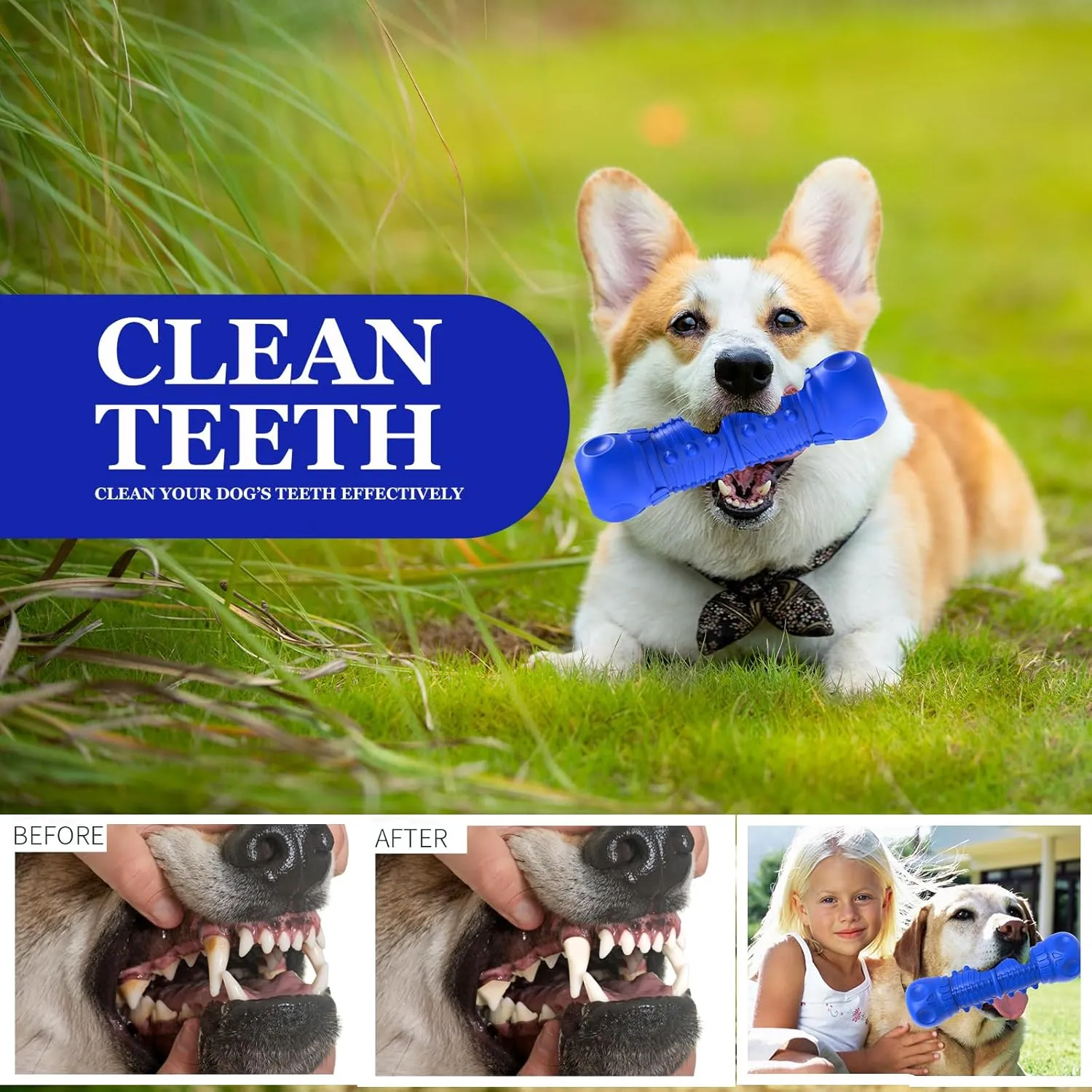 Dog Squeaky Toys for Aggressive Chewers, Durable Chew Toys for Medium Breed Dog, Tough Durable Toys with Natural Rubber