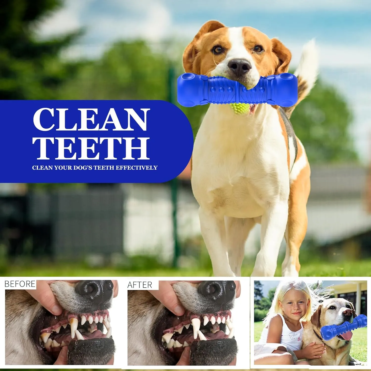 Dog Squeaky Toys for Aggressive Chewers, Durable Chew Toys for Medium Breed Dog, Tough Durable Toys with Natural Rubber