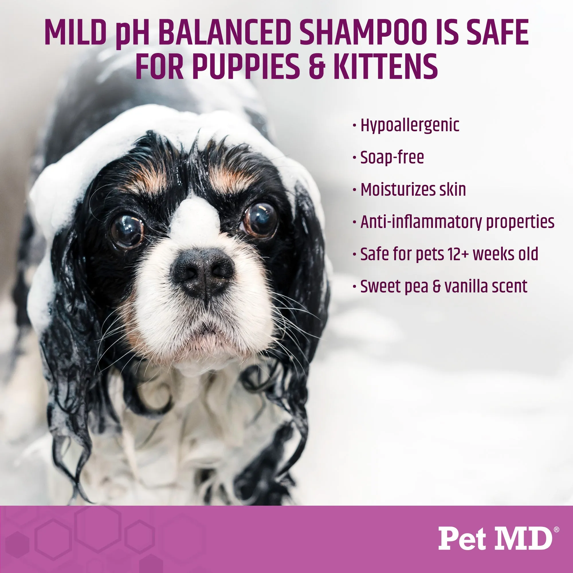 EFA Deodorizing and Hypoallergenic Shampoo for Cats & Dogs - 16 oz