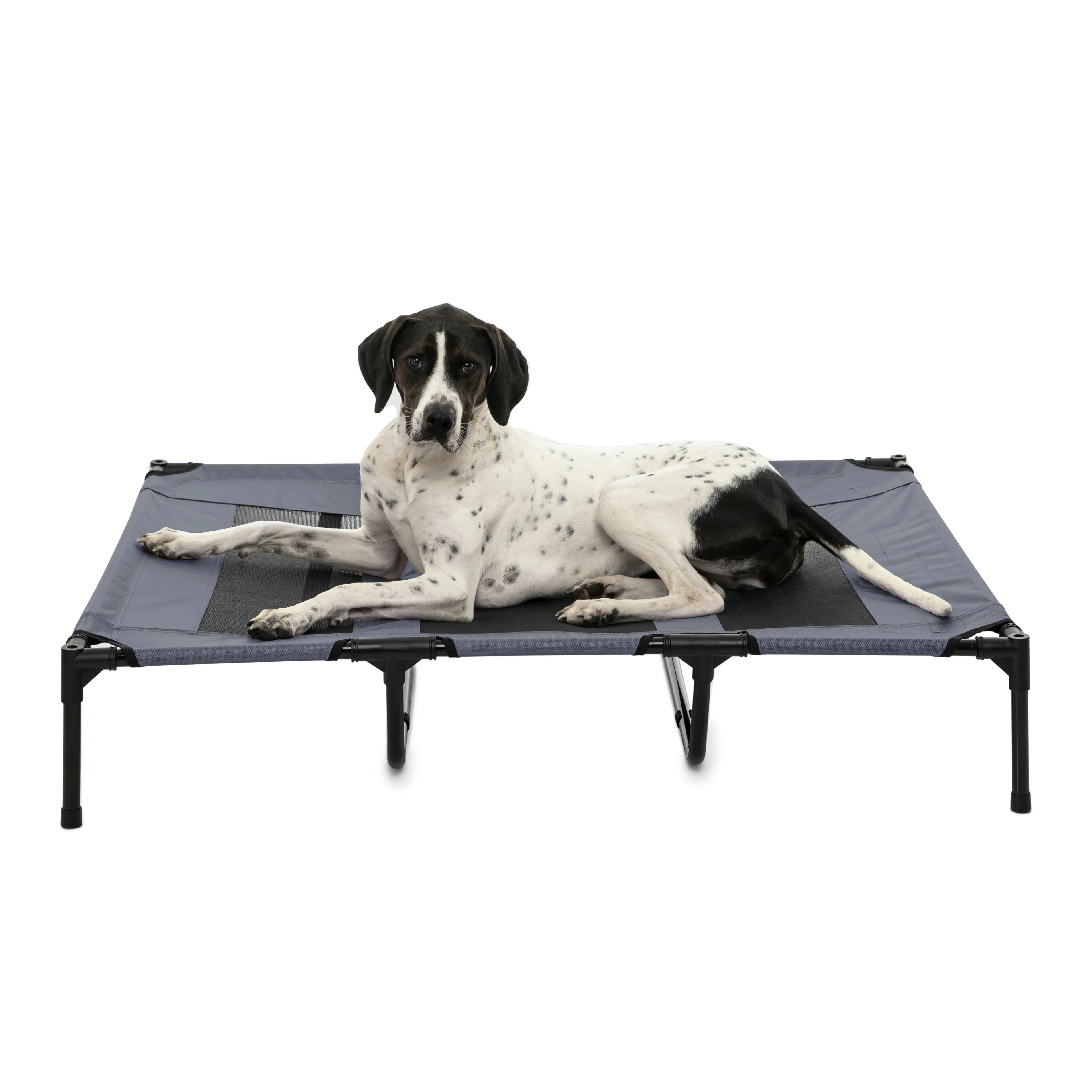 Elevated Dog Bed With Tent - Grey