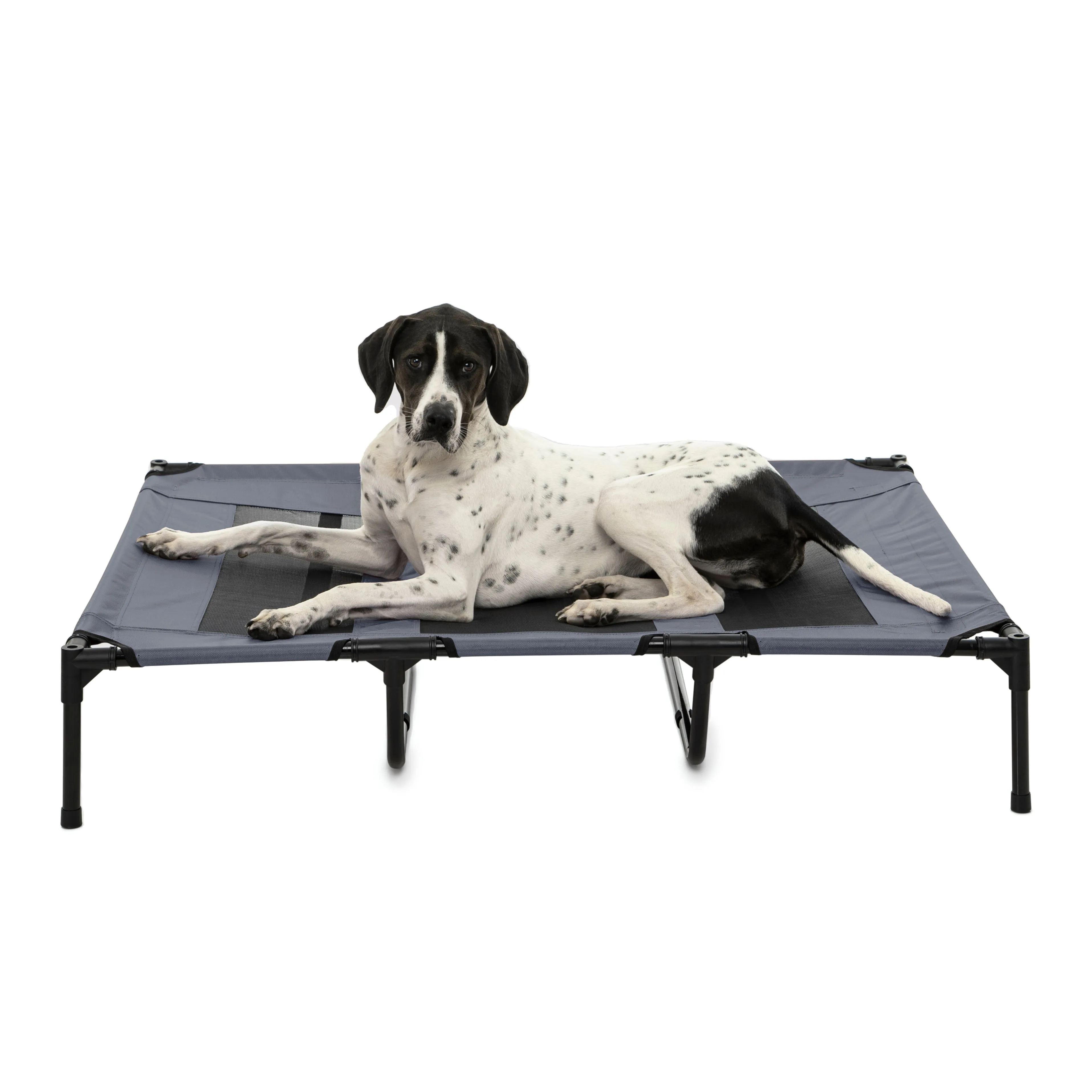 Elevated Dog Bed With Tent - Grey