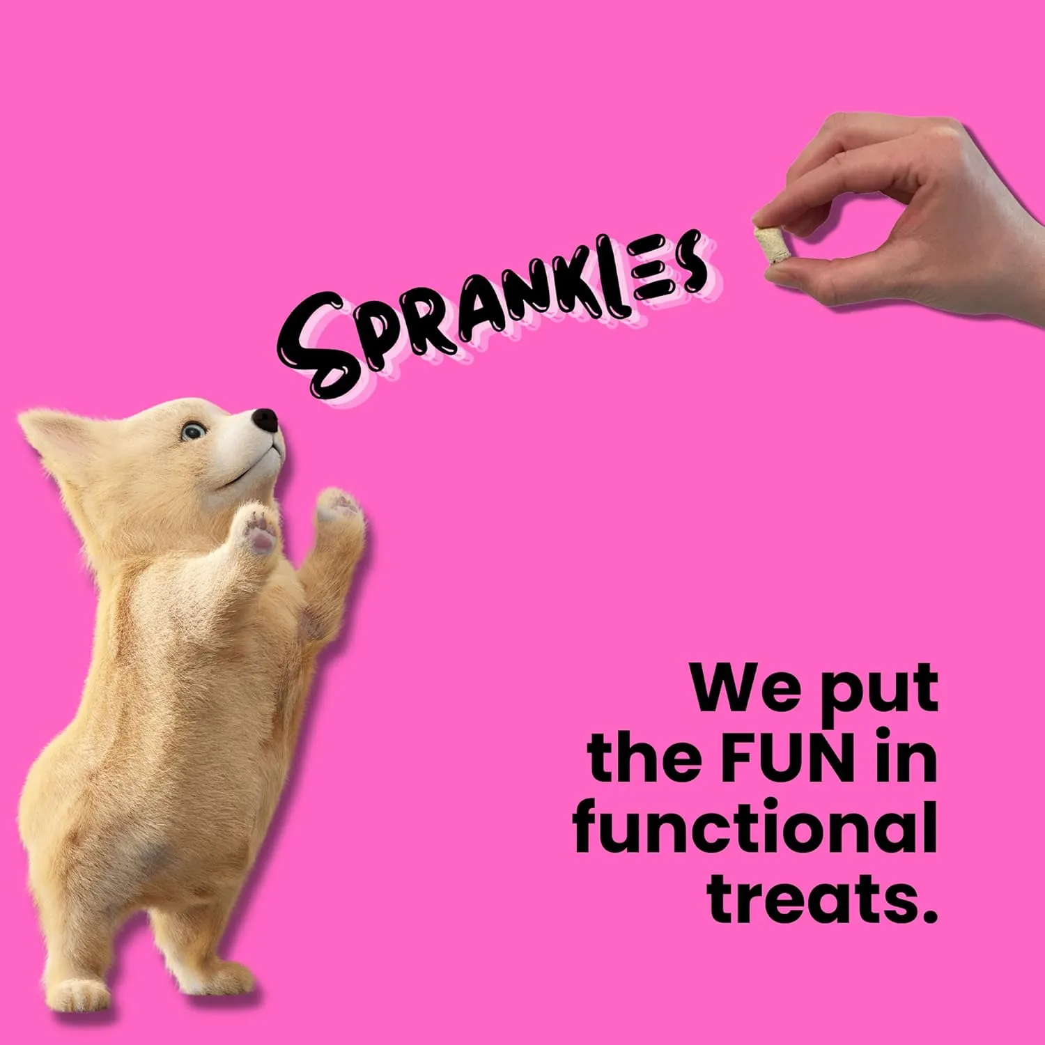 Freeze Dried Chicken Treats for Cats & Dogs - Single Ingredient Chicken Breast All Natural Grain-Free, High Protein, Made in USA - Perfect for Training, Topper or Snack (6 Ounce)