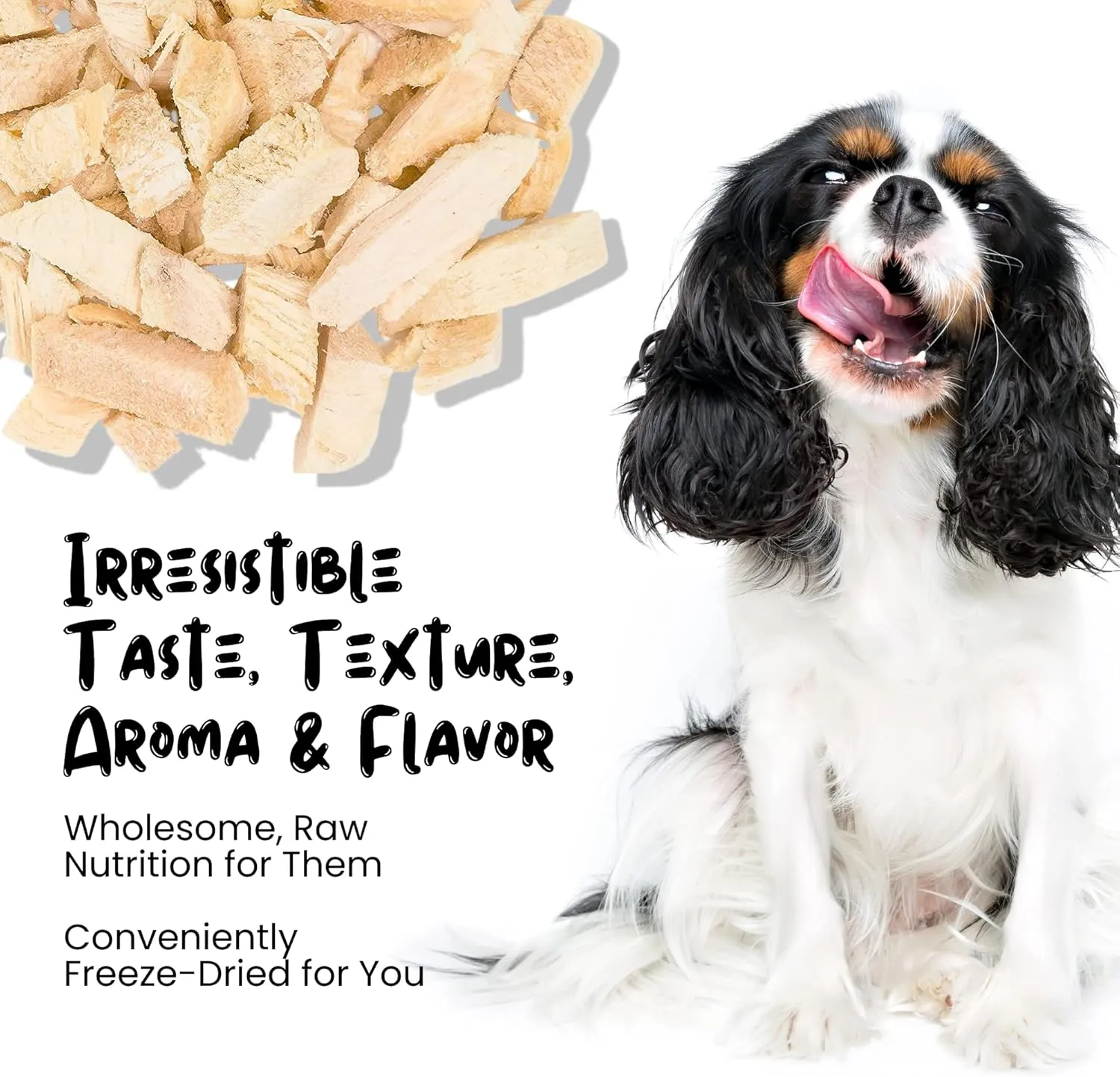 Freeze Dried Chicken Treats for Cats & Dogs - Single Ingredient Chicken Breast All Natural Grain-Free, High Protein, Made in USA - Perfect for Training, Topper or Snack (6 Ounce)