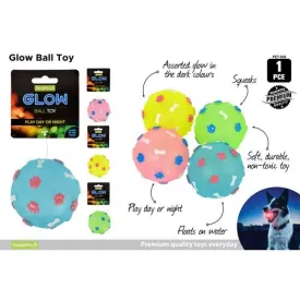Glow in the Dark Ball Pet Toy