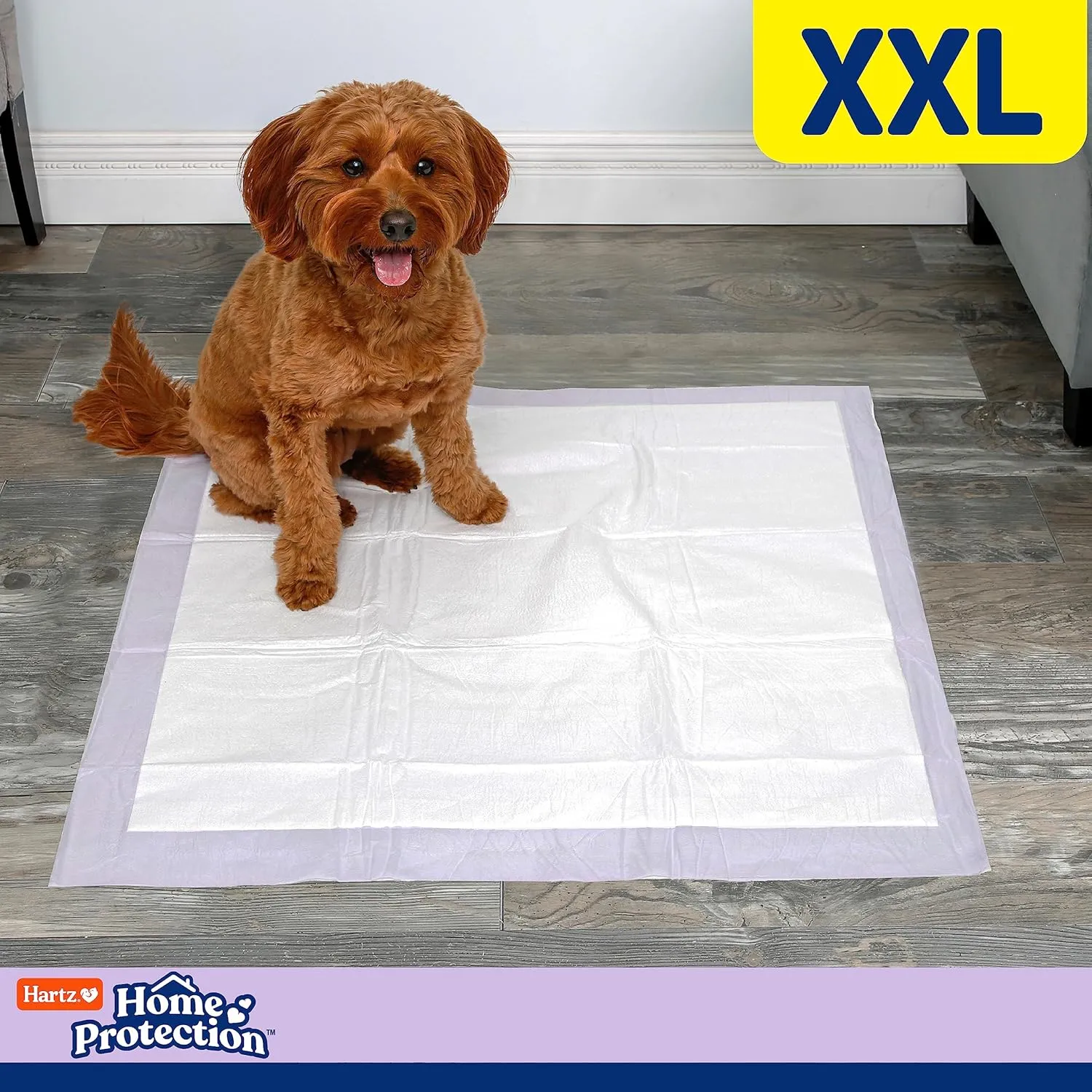 Hartz Home Protection Lavender Scented Dog Pads, XXL 40 count, Super Absorbent & Won't Leak, Odor Eliminating