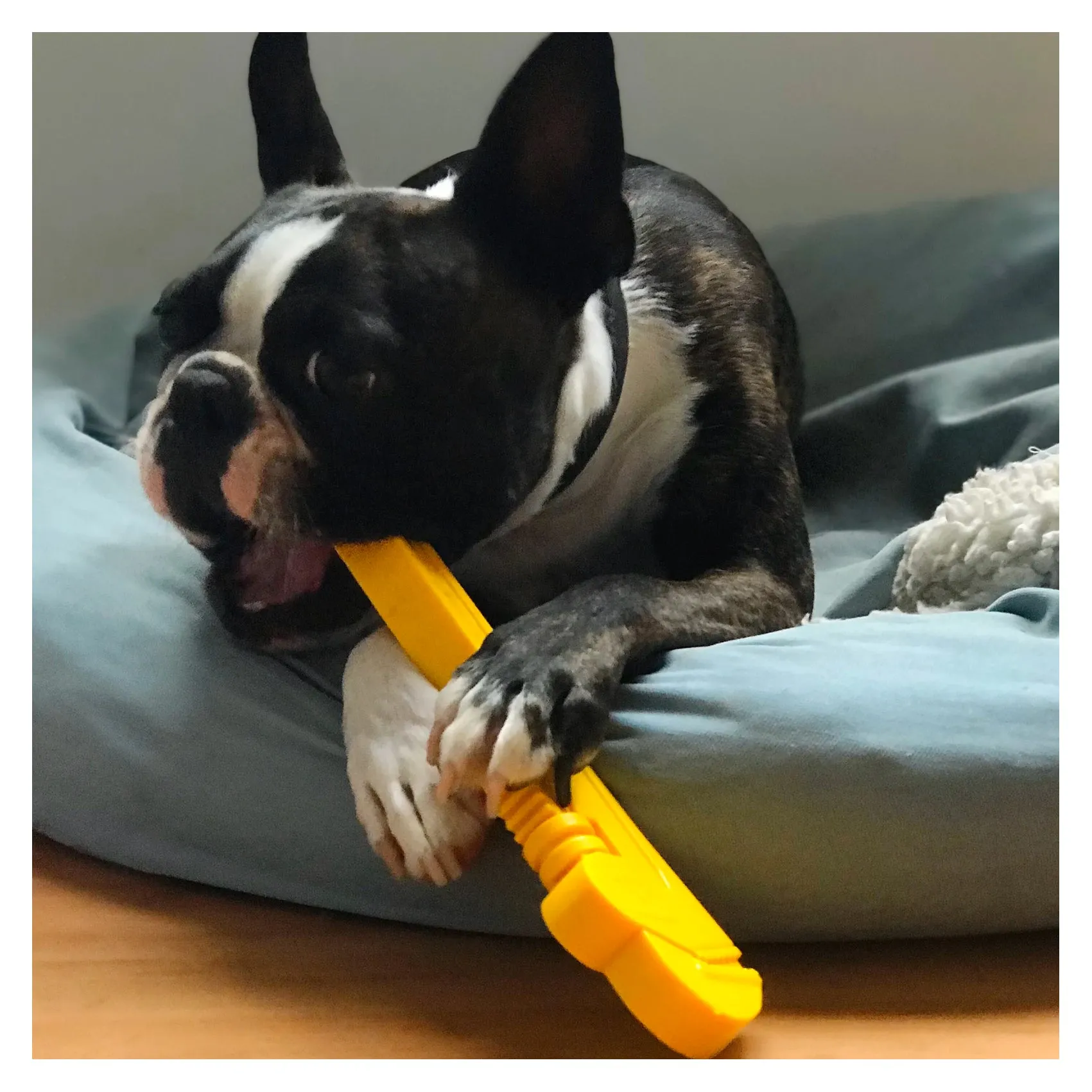 Industrial Dog Nylon Pipe Wrench Chew Dog Toy