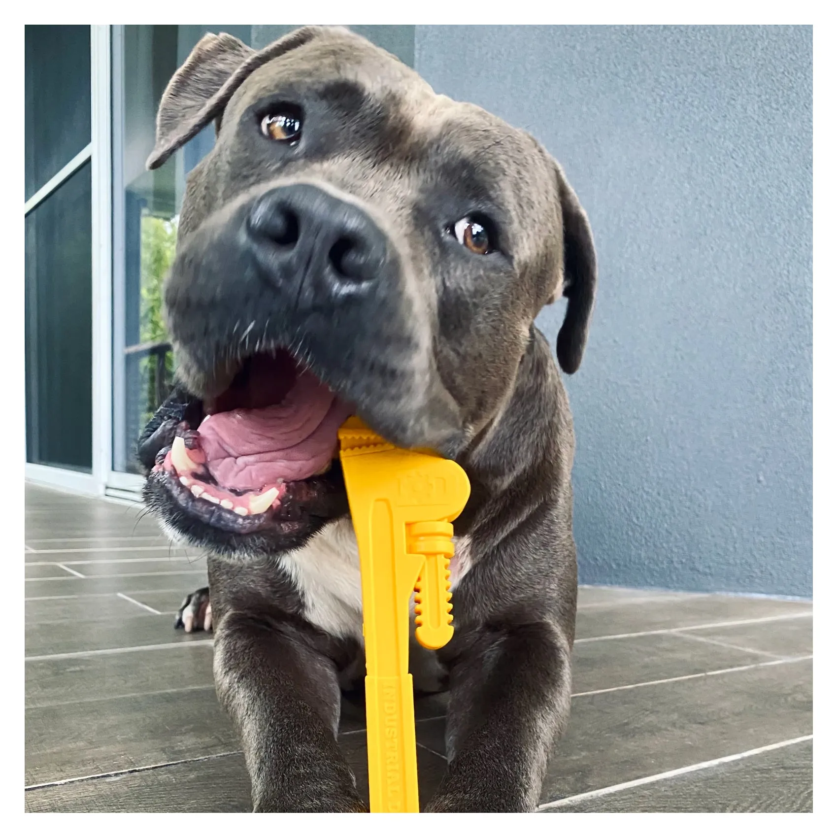 Industrial Dog Nylon Pipe Wrench Chew Dog Toy