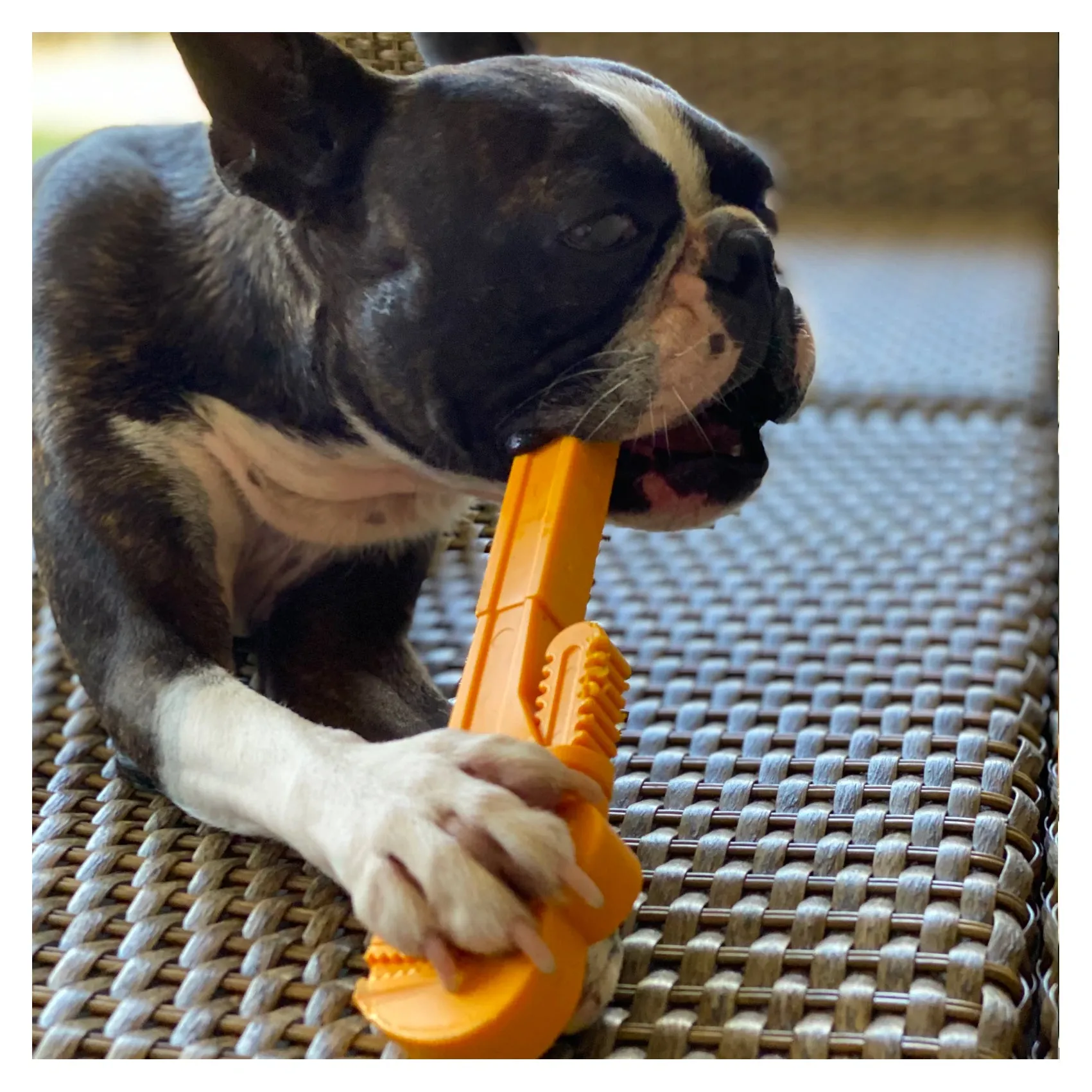Industrial Dog Nylon Pipe Wrench Chew Dog Toy