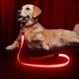 LED Dog Leash Light Up 4 Feet Micro USB Rechargeable Nylon Webbing Glow Safety Standard by Bpawser (Red)