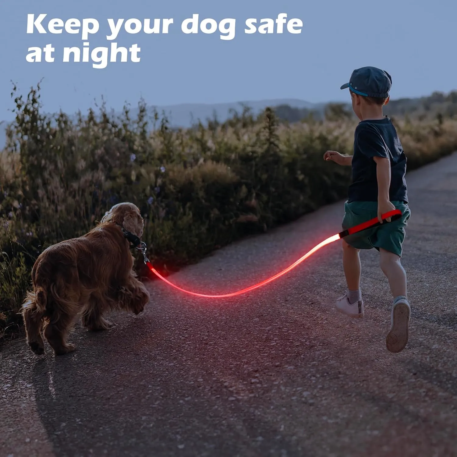 LED Dog Leash Light Up 4 Feet Micro USB Rechargeable Nylon Webbing Glow Safety Standard by Bpawser (Red)