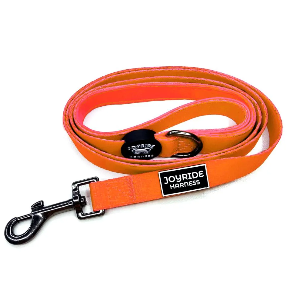 Matching Dog Leash (Solid Colors)