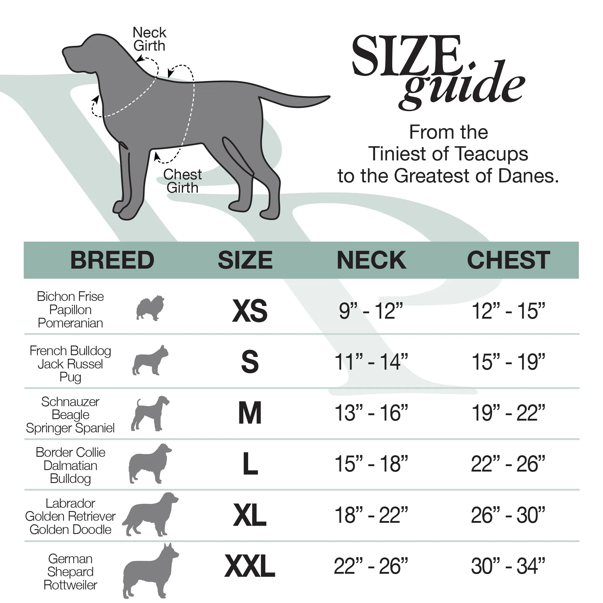 MAX - THE HARDY REFLECTIVE LEASH & COLLAR, 2-PACK