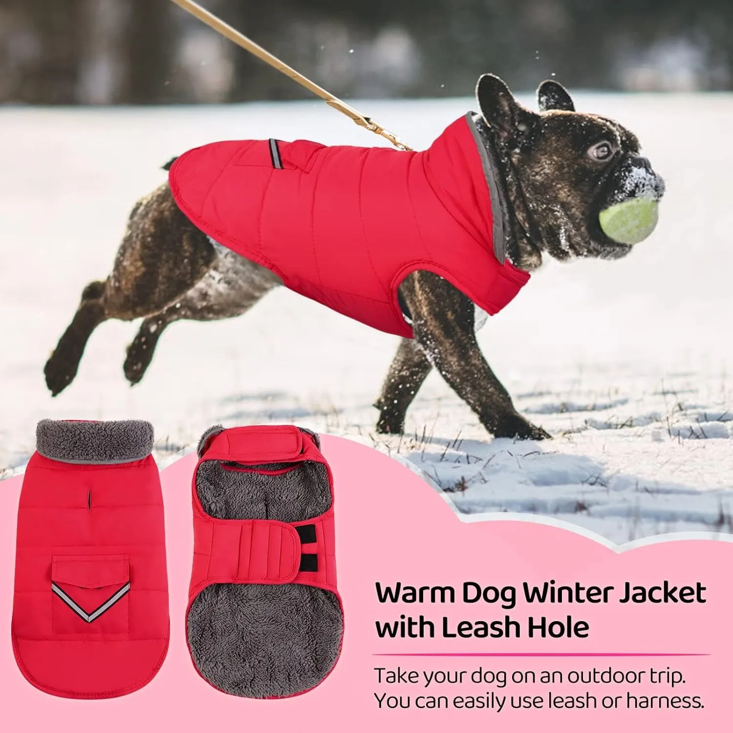 MIGOHI Warm Dog Coat, Winter Jacket for Cold Weather, Reflective Windproof Fleece Vest with Thick Fur Collar, Leash Hole - Red S, Small to Large Dogs