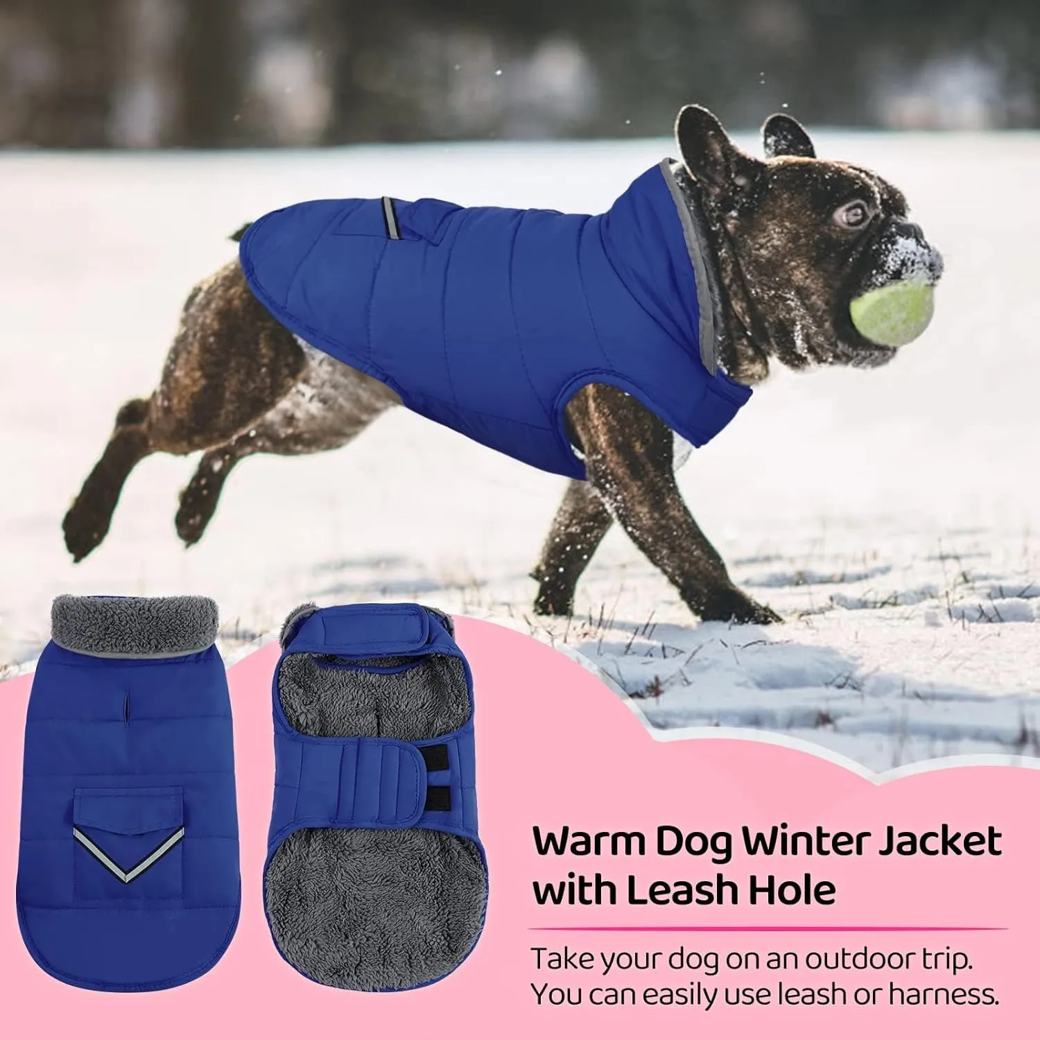 MIGOHI Winter Dog Jacket - Reflective Windproof Fleece Vest with Leash Hole and Furry Collar - Small to Large Dogs, Blue