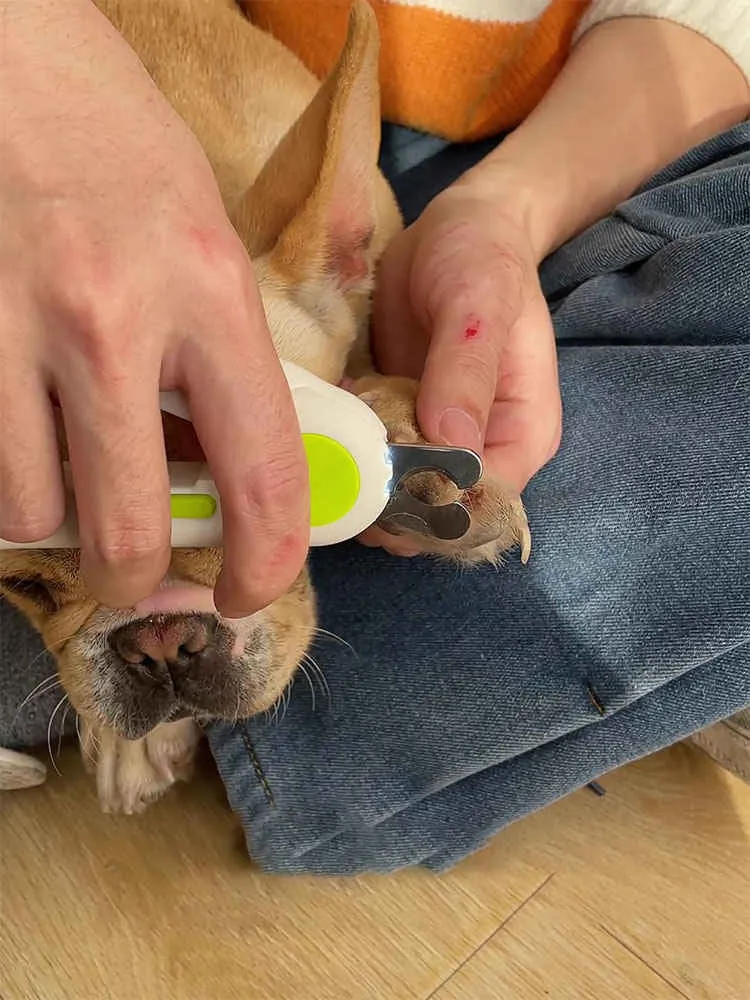 Nail clippers