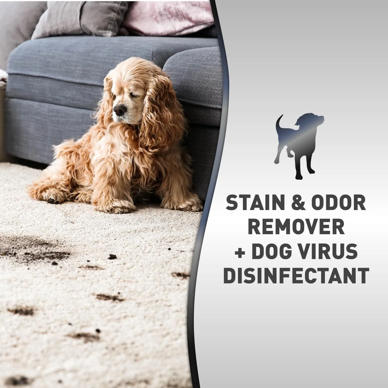 Nature's Miracle Advanced Platinum Stain and Odor Remover and Virus Disinfectant, 32 Ounces, Disinfects and Cleans