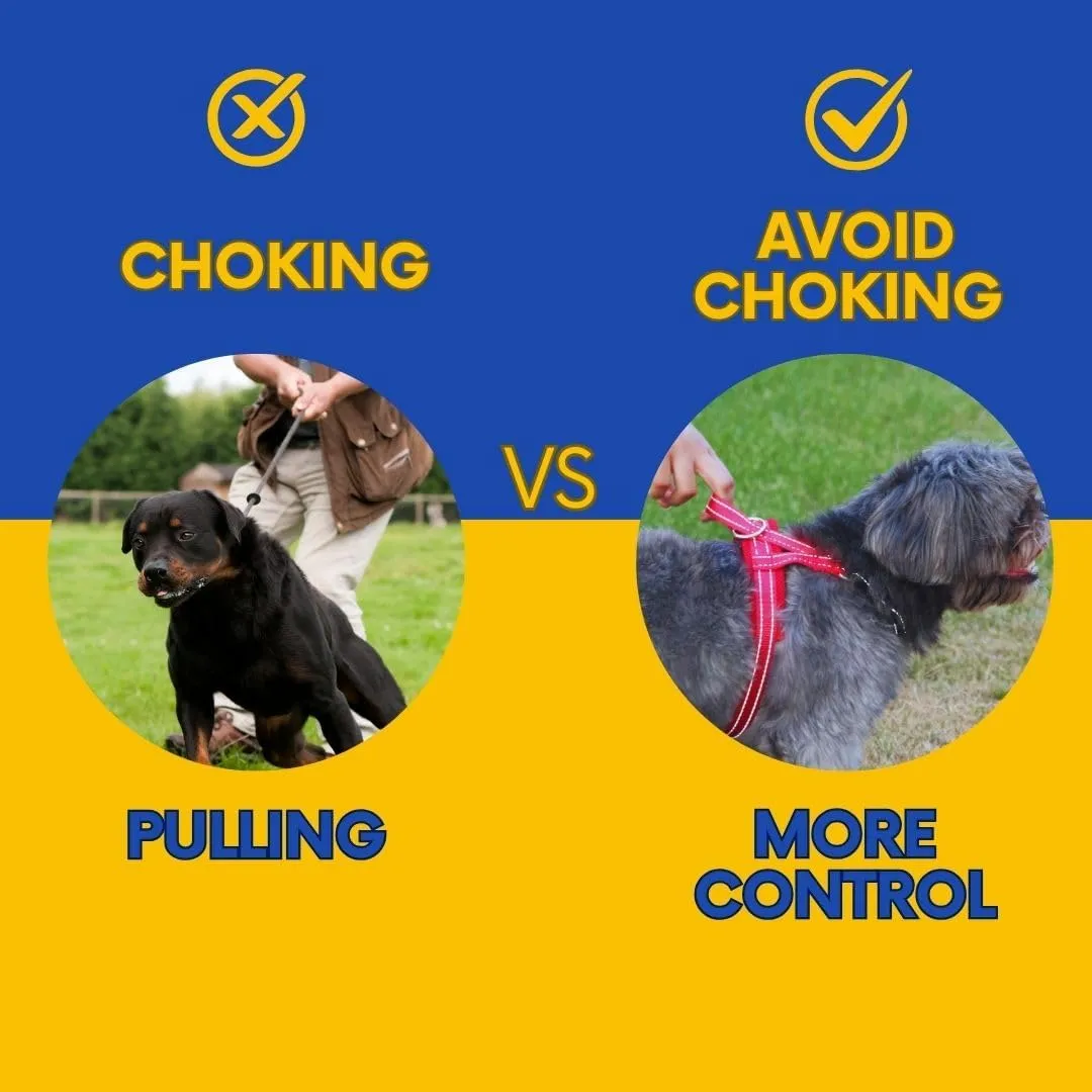 No Pull Easy Walk Dog Harness with Handle, Rear & Front Clip, Adjustable, Quick Fit, Easy On/Off, Reflective, Lightweight & Mesh Padded, No Choke. for Small, Medium and Large Dogs (Blue-Black, Large)