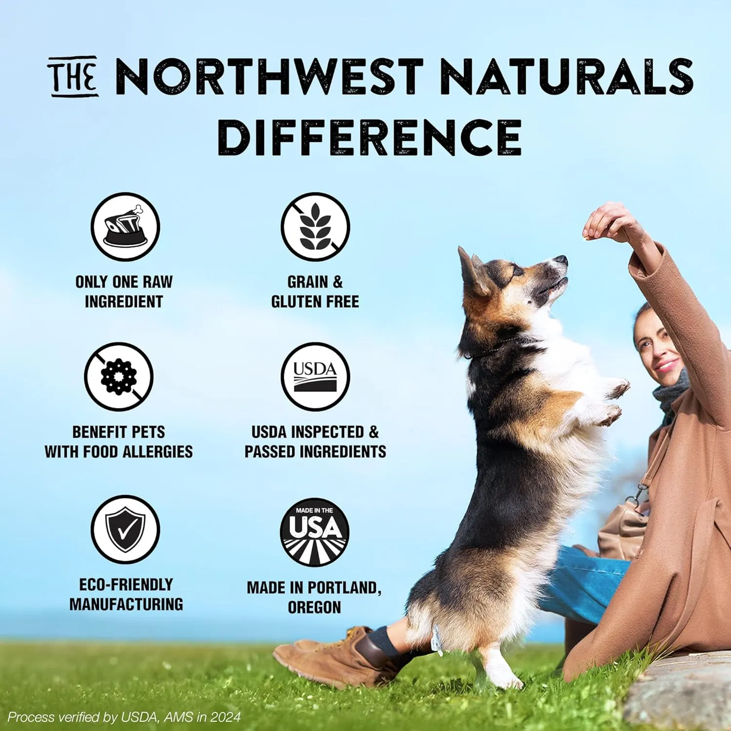 Northwest Naturals Raw Rewards Freeze-Dried Salmon Treats for Dogs and Cats - Bite-Sized Pieces - Healthy, 1 Ingredient, Human Grade Pet Food, All Natural, Proudly Made in USA, 2.5 Oz (Pack of 3)