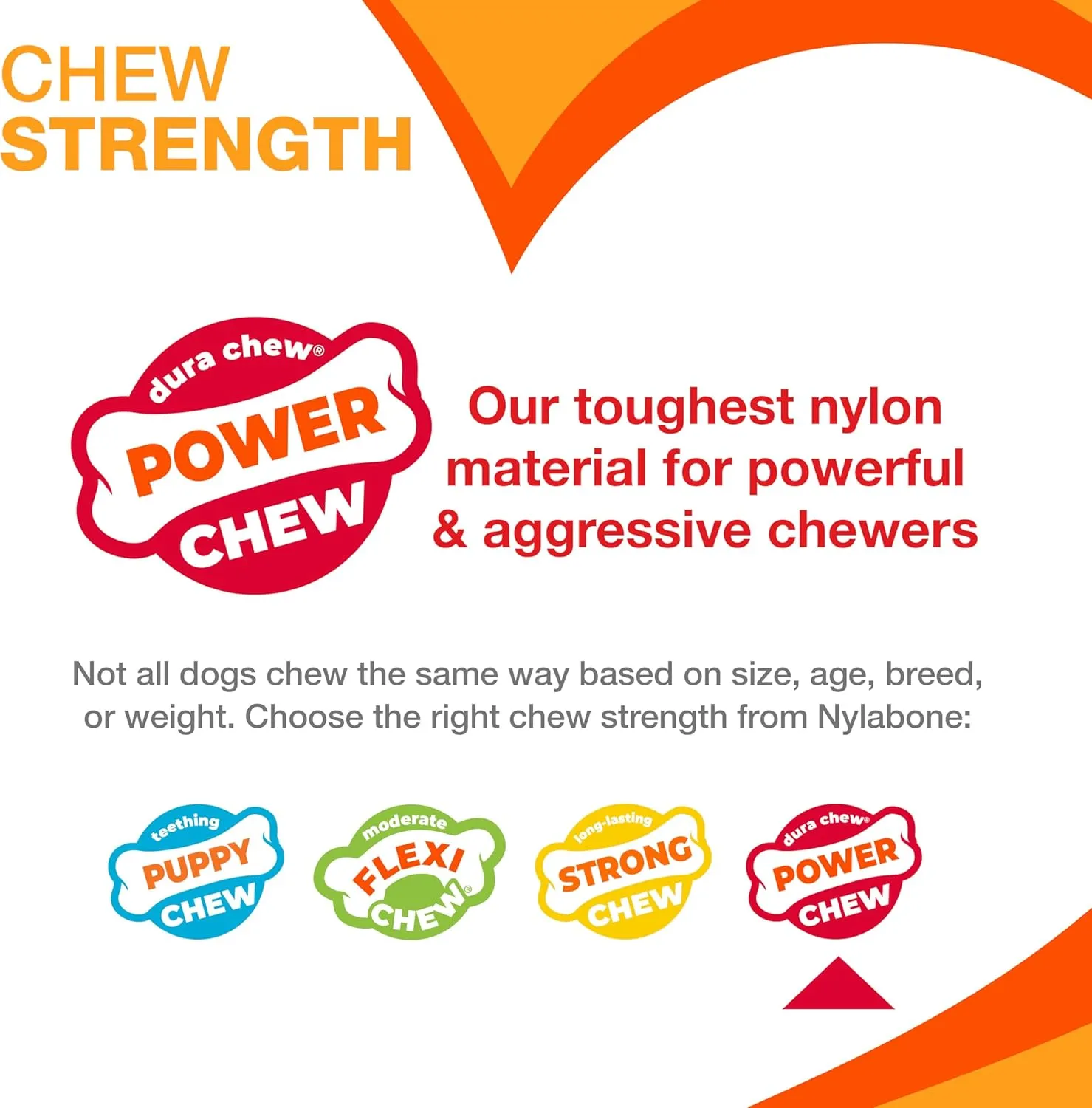 Nylabone Customer Favorites Power Chew Toy Bundle for Dogs, Indestructible Dog Toys for Aggressive Chewers, Pack of 3 Dog Toys, Flavor Medley, Small Dogs - Up to 25 lbs, 3 Pack