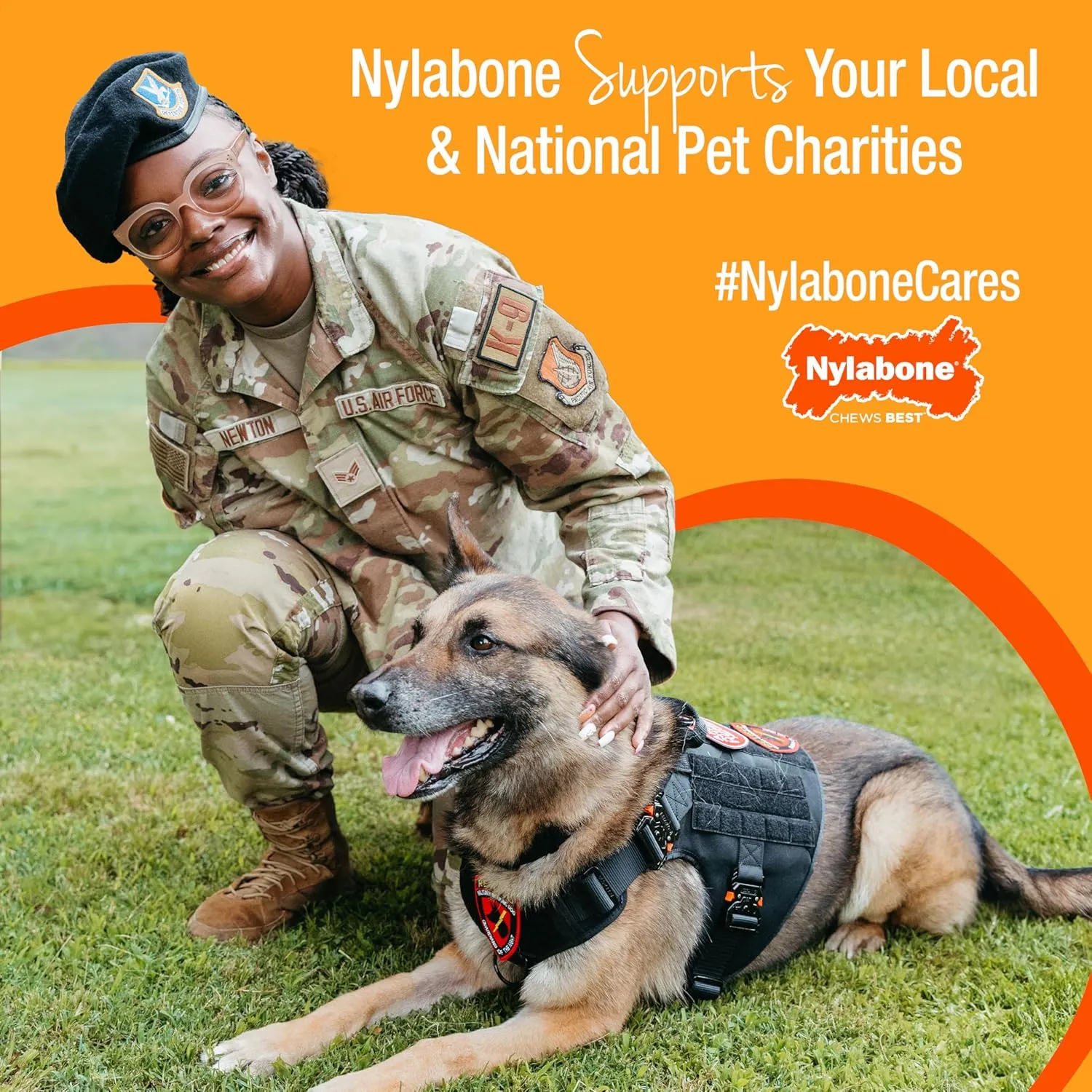 Nylabone Customer Favorites Power Chew Toy Bundle for Dogs, Indestructible Dog Toys for Aggressive Chewers, Pack of 3 Dog Toys, Flavor Medley, Small Dogs - Up to 25 lbs, 3 Pack