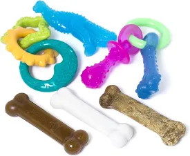 Nylabone New Puppy Starter Kit, 5 Chew Toys and 1 Natural Treat for Puppies, Multi Color, Bacon & Chicken Flavor, Small - Up to 25 lbs, 6 Pack